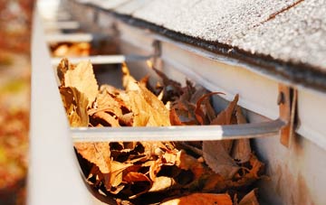 Edmondsley gutter cleaning companies
