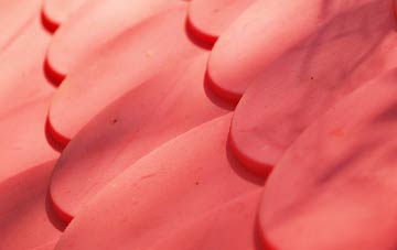 Edmondsley plastic roof costs