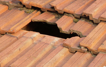 roof repair Edmondsley, County Durham