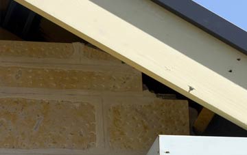 soffit repair Edmondsley